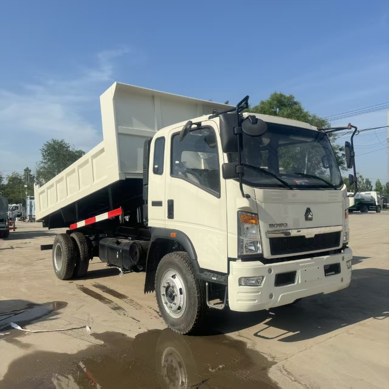 3.3m Wheelbase Howo Light Rear Tipper Garbage Transport Truck Customizable Sizes
