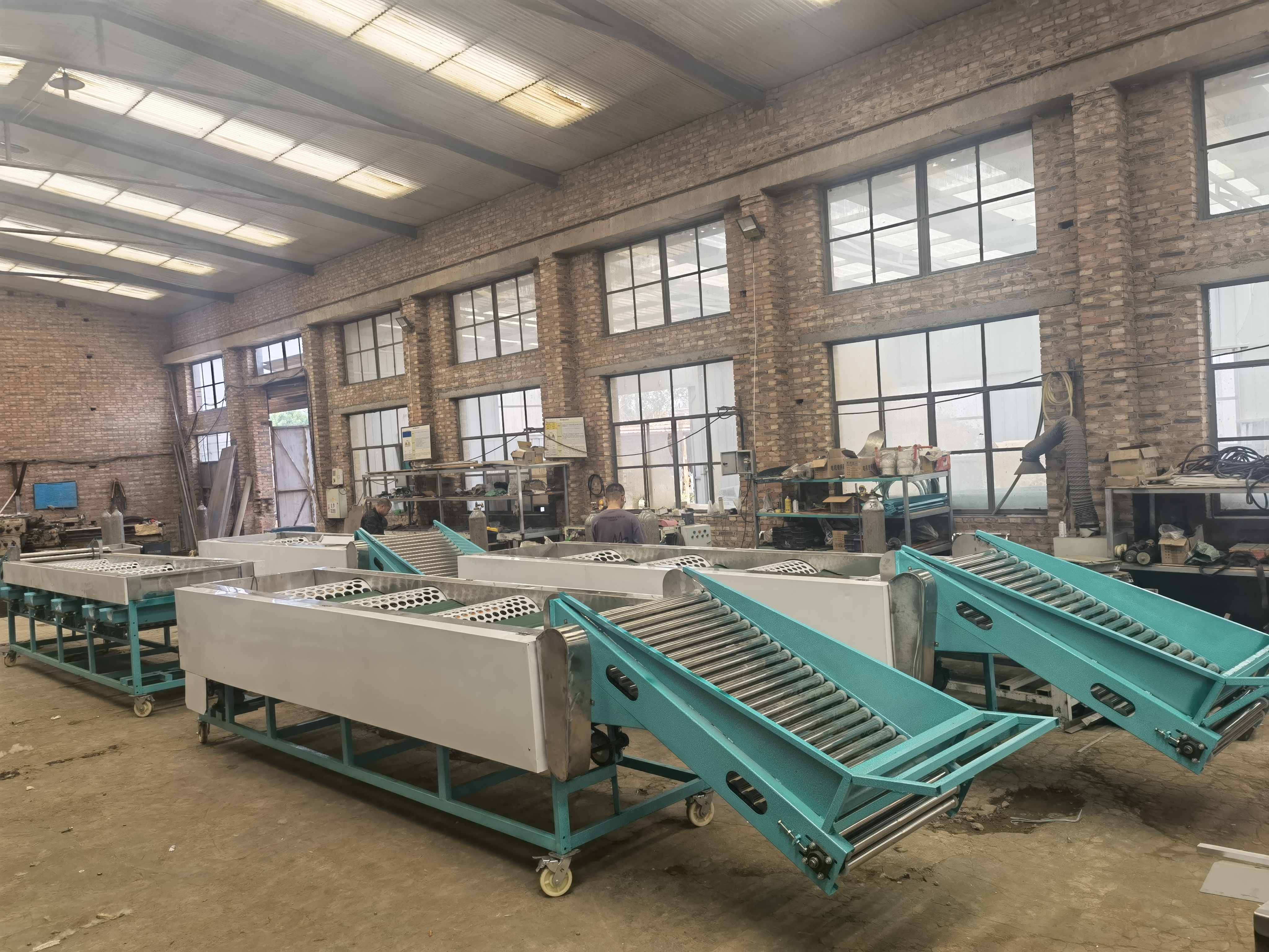 Belt-Type Intelligent Fruit and Vegetable Sorter | High Precision Sorting Equipment
