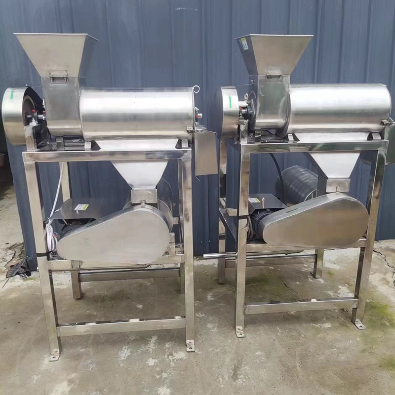 Industrial Fruit Beater | Pitting Peeling & Pulp Residue Separation Machine