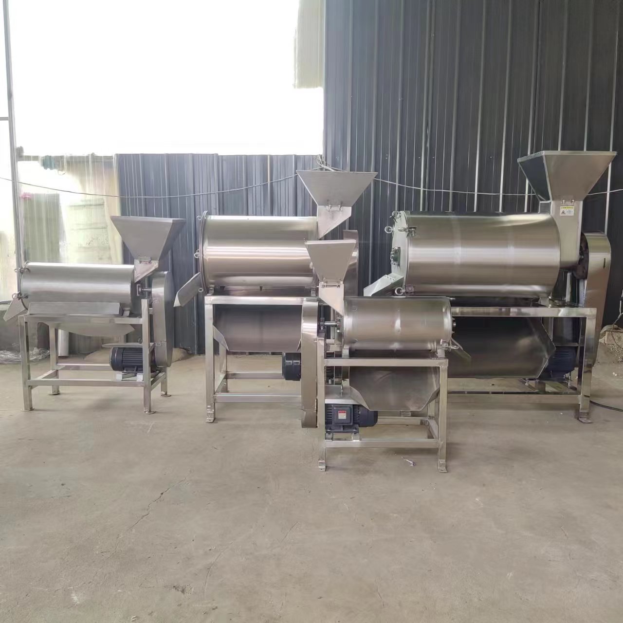 Industrial Fruit Beater | Pitting Peeling & Pulp Residue Separation Machine