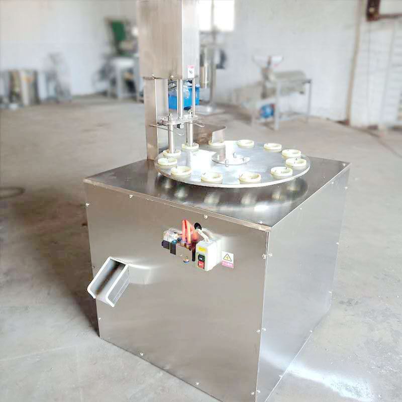 Industrial Large-Capacity Spiral Juicer | Fruit and Vegetable Press Machine