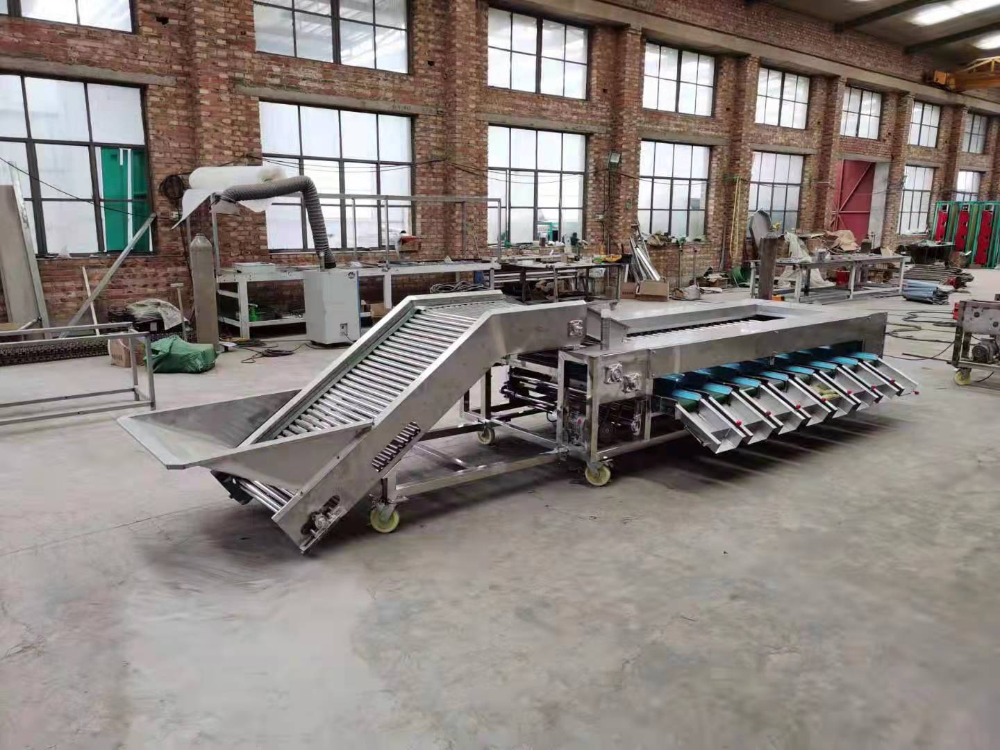 Belt-Type Intelligent Fruit and Vegetable Sorter | High Precision Sorting Equipment